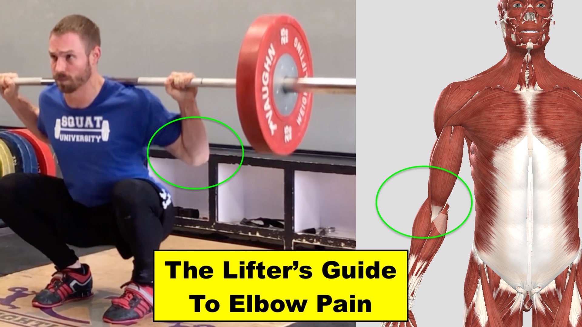 The Lifters Guide To Elbow Pain Squat University